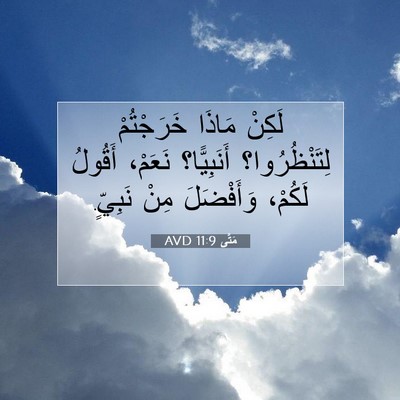 Picture 07 - مَتَّى 11:9 AVD - لَكِنْ مَاذَا خَرَجْتُمْ - Bible Verse Picture