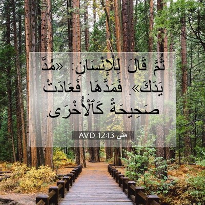 Picture 07 - مَتَّى 12:13 AVD - ثُمَّ قَالَ لِلْإِنْسَانِ: - Bible Verse Picture