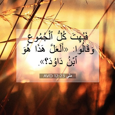 Picture 07 - مَتَّى 12:23 AVD - فَبُهِتَ كُلُّ ٱلْجُمُوعِ - Bible Verse Picture