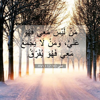 Picture 07 - مَتَّى 12:30 AVD - مَنْ لَيْسَ مَعِي فَهُوَ - Bible Verse Picture
