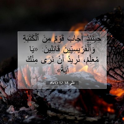 Picture 07 - مَتَّى 12:38 AVD - حِينَئِذٍ أَجَابَ قَوْمٌ - Bible Verse Picture