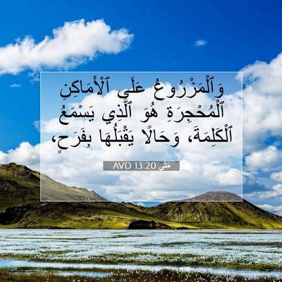 Picture 07 - مَتَّى 13:20 AVD - وَٱلْمَزْرُوعُ عَلَى - Bible Verse Picture