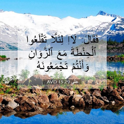 Picture 07 - مَتَّى 13:29 AVD - فَقَالَ: لَا! لِئَلَّا - Bible Verse Picture