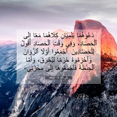 Picture 07 - مَتَّى 13:30 AVD - دَعُوهُمَا يَنْمِيَانِ - Bible Verse Picture