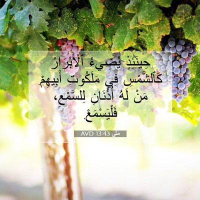Picture 07 - مَتَّى 13:43 AVD - حِينَئِذٍ يُضِيءُ - Bible Verse Picture