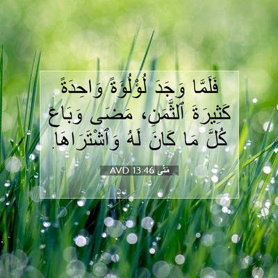 Picture 07 - مَتَّى 13:46 AVD - فَلَمَّا وَجَدَ - Bible Verse Picture