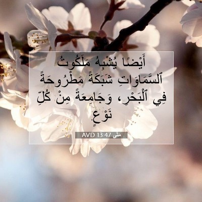 Picture 07 - مَتَّى 13:47 AVD - أَيْضًا يُشْبِهُ - Bible Verse Picture