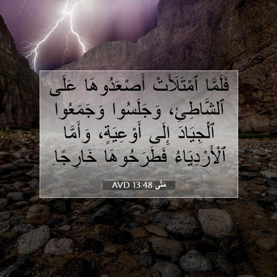 Picture 07 - مَتَّى 13:48 AVD - فَلَمَّا ٱمْتَلَأَتْ - Bible Verse Picture