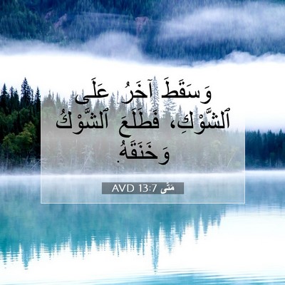Picture 07 - مَتَّى 13:7 AVD - وَسَقَطَ آخَرُ عَلَى - Bible Verse Picture