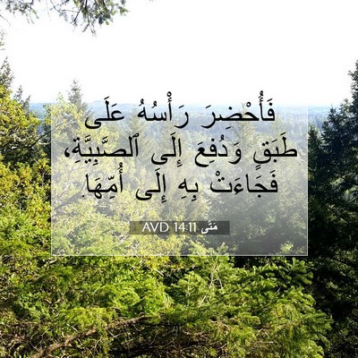Picture 07 - مَتَّى 14:11 AVD - فَأُحْضِرَ رَأْسُهُ عَلَى - Bible Verse Picture