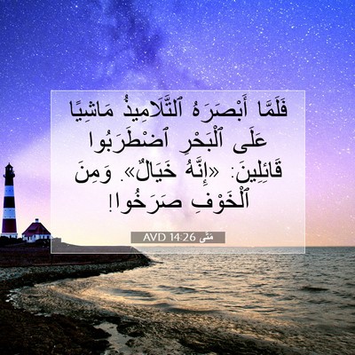 Picture 07 - مَتَّى 14:26 AVD - فَلَمَّا أَبْصَرَهُ - Bible Verse Picture