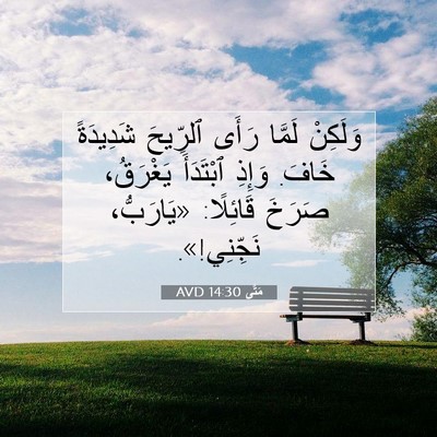 Picture 07 - مَتَّى 14:30 AVD - وَلَكِنْ لَمَّا رَأَى - Bible Verse Picture