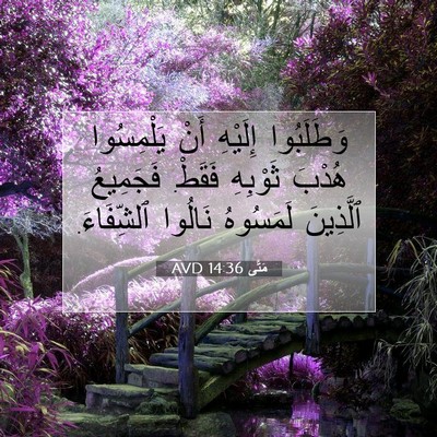 Picture 07 - مَتَّى 14:36 AVD - وَطَلَبُوا إِلَيْهِ أَنْ - Bible Verse Picture