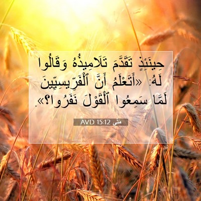 Picture 07 - مَتَّى 15:12 AVD - حِينَئِذٍ تَقَدَّمَ - Bible Verse Picture