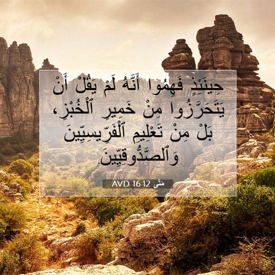 Picture 07 - مَتَّى 16:12 AVD - حِينَئِذٍ فَهِمُوا - Bible Verse Picture