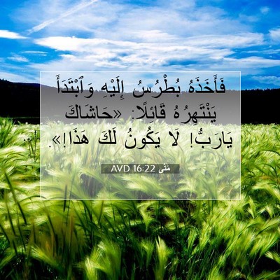 Picture 07 - مَتَّى 16:22 AVD - فَأَخَذَهُ بُطْرُسُ - Bible Verse Picture