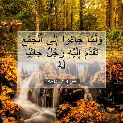 Picture 07 - مَتَّى 17:14 AVD - وَلَمَّا جَاءُوا إِلَى - Bible Verse Picture
