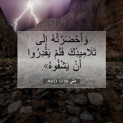 Picture 07 - مَتَّى 17:16 AVD - وَأَحْضَرْتُهُ إِلَى - Bible Verse Picture
