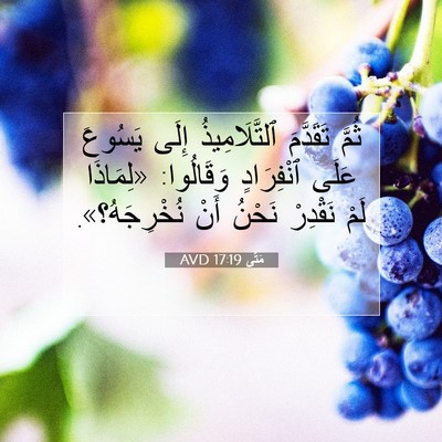 Picture 07 - مَتَّى 17:19 AVD - ثُمَّ تَقَدَّمَ - Bible Verse Picture