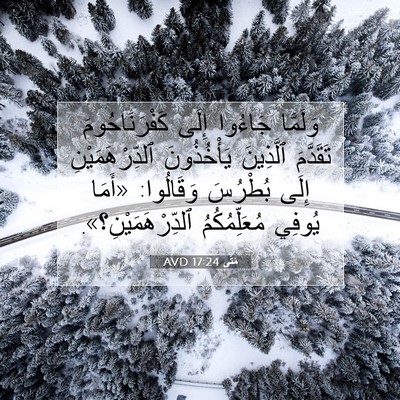 Picture 07 - مَتَّى 17:24 AVD - وَلَمَّا جَاءُوا إِلَى - Bible Verse Picture