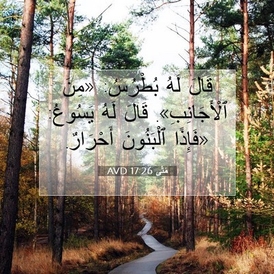 Picture 07 - مَتَّى 17:26 AVD - قَالَ لَهُ بُطْرُسُ: «مِنَ - Bible Verse Picture