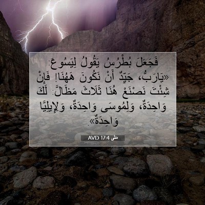 Picture 07 - مَتَّى 17:4 AVD - فَجَعَلَ بُطْرُسُ يَقُولُ - Bible Verse Picture