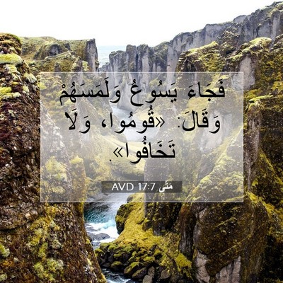 Picture 07 - مَتَّى 17:7 AVD - فَجَاءَ يَسُوعُ - Bible Verse Picture