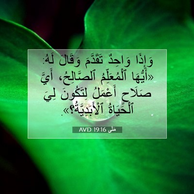 Picture 07 - مَتَّى 19:16 AVD - وَإِذَا وَاحِدٌ تَقَدَّمَ - Bible Verse Picture