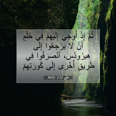 Picture 07 - مَتَّى 2:12 AVD - ثُمَّ إِذْ أُوحِيَ - Bible Verse Picture