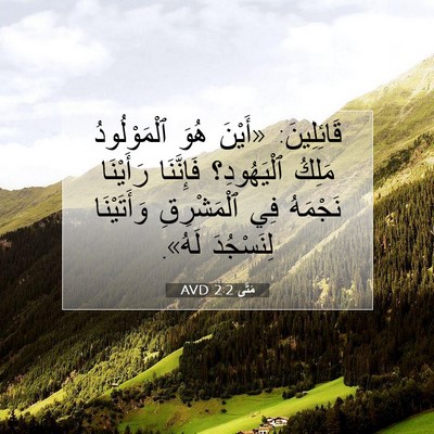 Picture 07 - مَتَّى 2:2 AVD - قَائِلِينَ: «أَيْنَ هُوَ - Bible Verse Picture