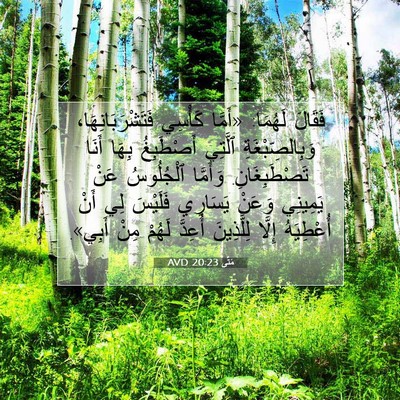 Picture 07 - مَتَّى 20:23 AVD - فَقَالَ لَهُمَا: «أَمَّا - Bible Verse Picture