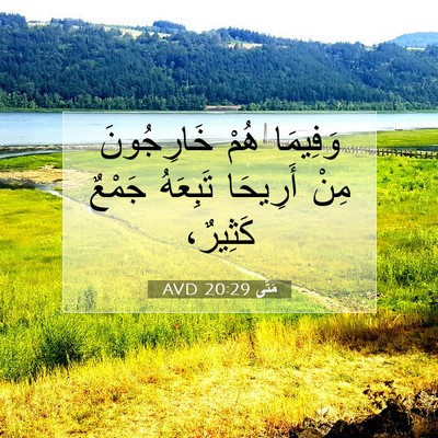 Picture 07 - مَتَّى 20:29 AVD - وَفِيمَا هُمْ خَارِجُونَ - Bible Verse Picture