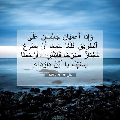 Picture 07 - مَتَّى 20:30 AVD - وَإِذَا أَعْمَيَانِ - Bible Verse Picture