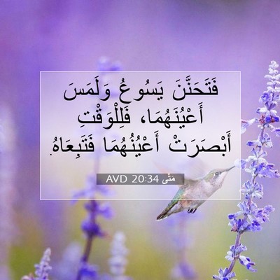 Picture 07 - مَتَّى 20:34 AVD - فَتَحَنَّنَ يَسُوعُ - Bible Verse Picture