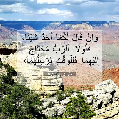Picture 07 - مَتَّى 21:3 AVD - وَإِنْ قَالَ لَكُمَا - Bible Verse Picture