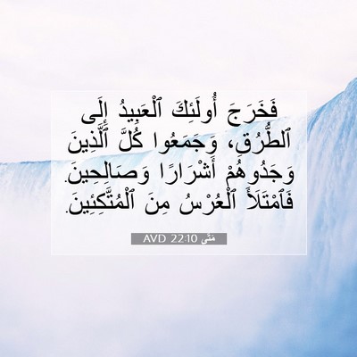 Picture 07 - مَتَّى 22:10 AVD - فَخَرَجَ أُولَئِكَ - Bible Verse Picture