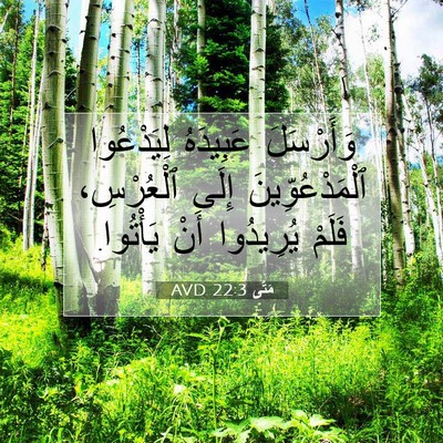 Picture 07 - مَتَّى 22:3 AVD - وَأَرْسَلَ عَبِيدَهُ - Bible Verse Picture