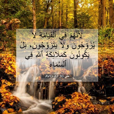 Picture 07 - مَتَّى 22:30 AVD - لِأَنَّهُمْ فِي - Bible Verse Picture