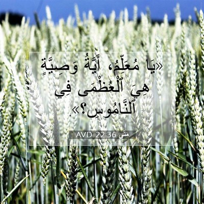 Picture 07 - مَتَّى 22:36 AVD - «يَا مُعَلِّمُ، أَيَّةُ - Bible Verse Picture