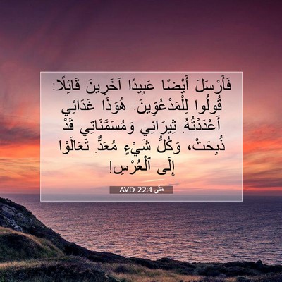 Picture 07 - مَتَّى 22:4 AVD - فَأَرْسَلَ أَيْضًا - Bible Verse Picture