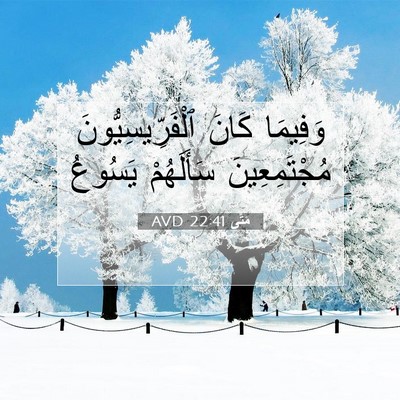 Picture 07 - مَتَّى 22:41 AVD - وَفِيمَا كَانَ - Bible Verse Picture