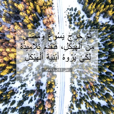 Picture 07 - مَتَّى 24:1 AVD - ثُمَّ خَرَجَ يَسُوعُ - Bible Verse Picture