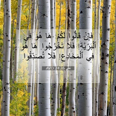 Picture 07 - مَتَّى 24:26 AVD - فَإِنْ قَالُوا لَكُمْ: هَا - Bible Verse Picture