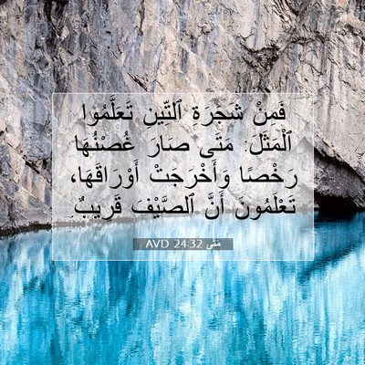 Picture 07 - مَتَّى 24:32 AVD - فَمِنْ شَجَرَةِ ٱلتِّينِ - Bible Verse Picture