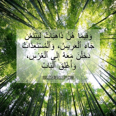 Picture 07 - مَتَّى 25:10 AVD - وَفِيمَا هُنَّ ذَاهِبَاتٌ - Bible Verse Picture