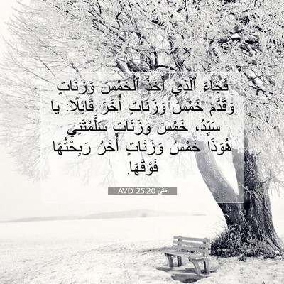 Picture 07 - مَتَّى 25:20 AVD - فَجَاءَ ٱلَّذِي أَخَذَ - Bible Verse Picture