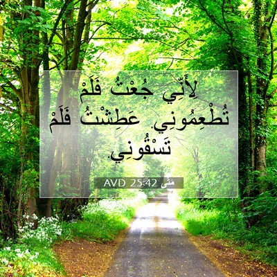 Picture 07 - مَتَّى 25:42 AVD - لِأَنِّي جُعْتُ فَلَمْ - Bible Verse Picture