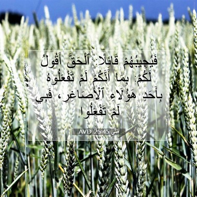 Picture 07 - مَتَّى 25:45 AVD - فَيُجِيبُهُمْ قَائِلًا: - Bible Verse Picture
