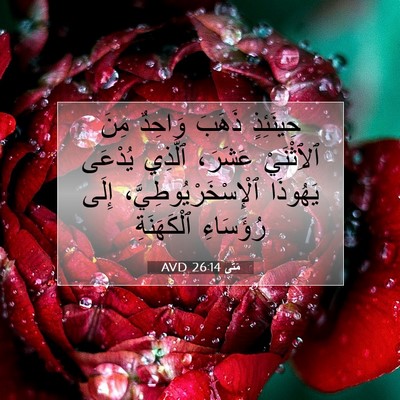 Picture 07 - مَتَّى 26:14 AVD - حِينَئِذٍ ذَهَبَ وَاحِدٌ - Bible Verse Picture