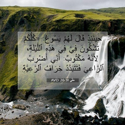 Picture 07 - مَتَّى 26:31 AVD - حِينَئِذٍ قَالَ لَهُمْ - Bible Verse Picture